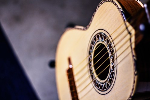 fotografía de la vihuela